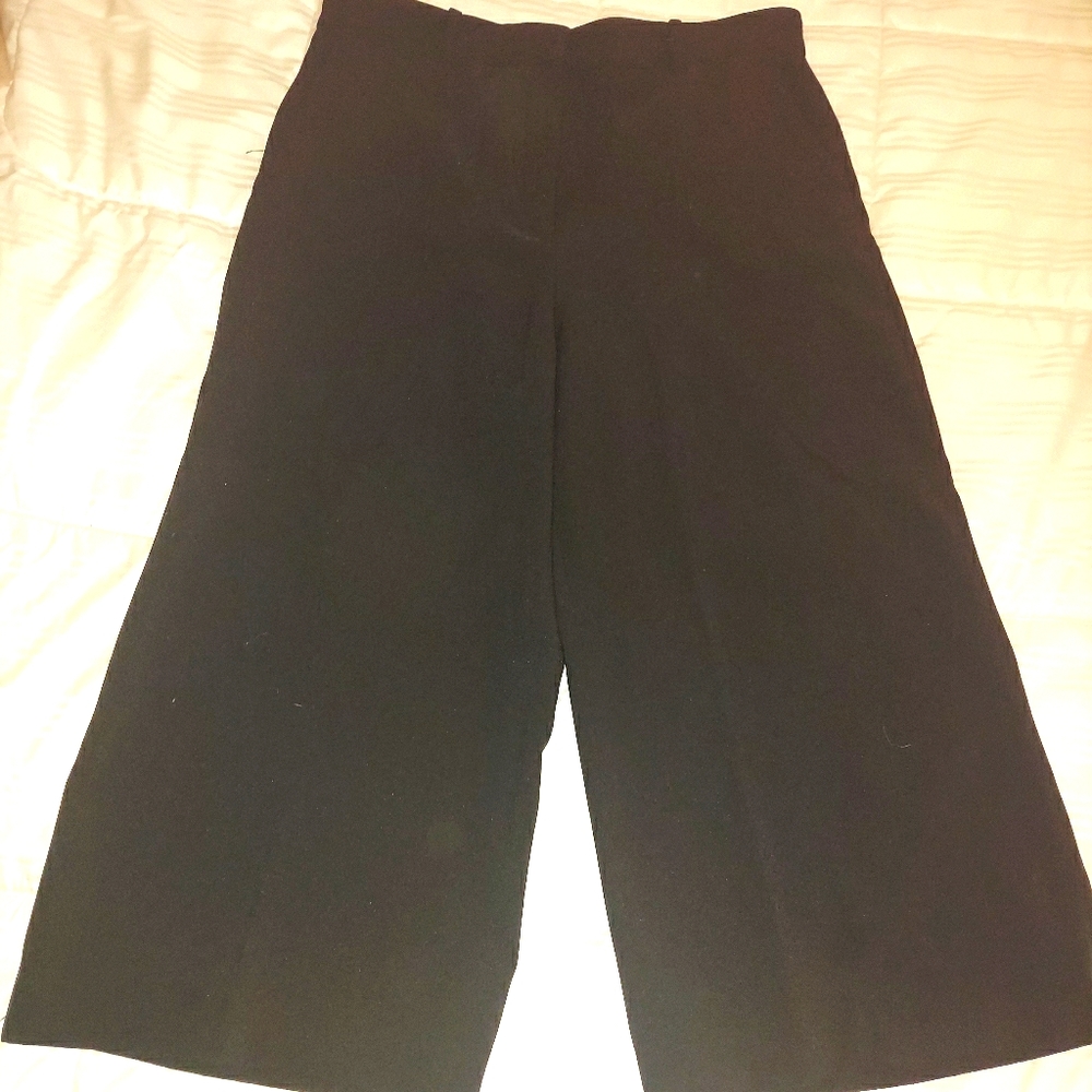 Dress pants